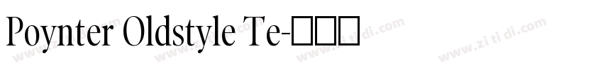 Poynter Oldstyle Te字体转换